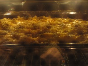 i did it again! watch the oven, that is